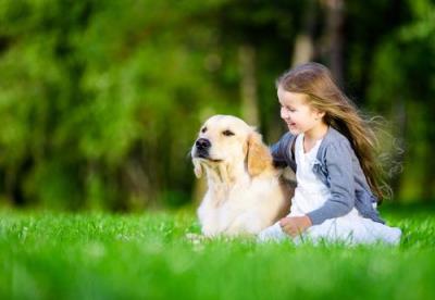 十大适合家养的狗排名介绍「盘点十种适合家养的优秀犬种」