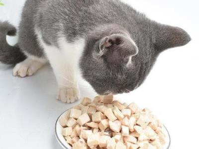 猫咪被鱼刺卡住的表现及正确喂食鱼类的方法