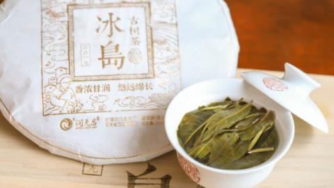 冰岛古树茶多少钱一斤