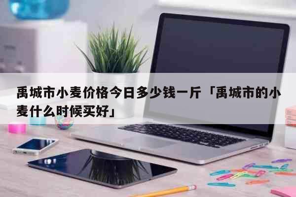 禹城市小麦价格今日多少钱一斤「禹城市的小麦什么时候买好」 生活