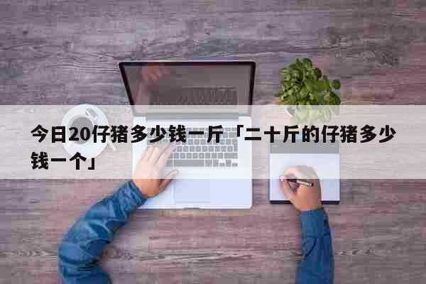 今日20仔猪多少钱一斤「二十斤的仔猪多少钱一个」 生活