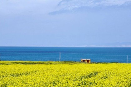 青海旅游最好的季节，怎么坐车去青海湖？