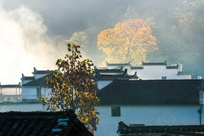 江苏值得一游的古镇有哪些，江苏古镇哪里好玩？