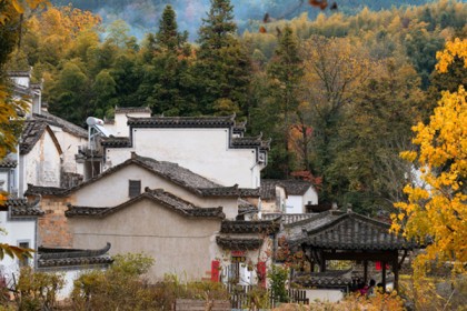 塔川最佳旅游时间几月份？塔川景区门票价格多钱？