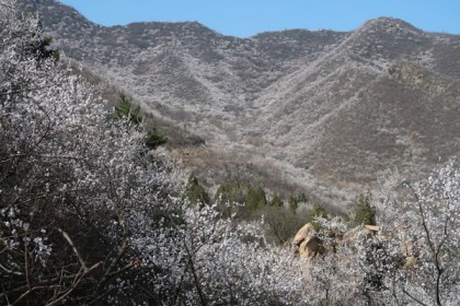 北京周边自驾游去哪里好，一份北京周边自驾游攻略