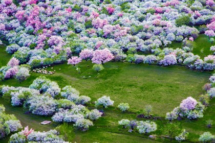 国内4月去哪儿旅游好，国内4月份旅游好去处推荐