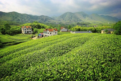 莫干山最佳旅游时节，莫干山什么季节去好？