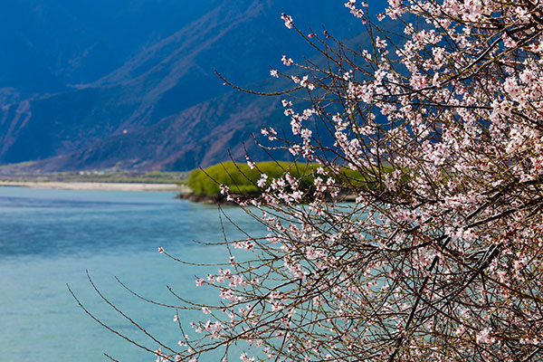 林芝最值得去的景点有哪些？林芝旅游攻略旅游路线安排