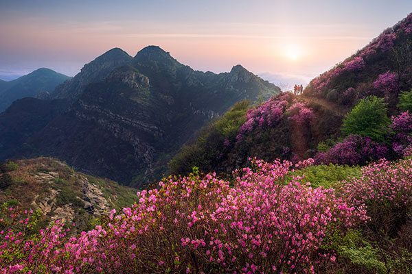 贵州旅游有哪些好玩的景点，贵州旅游十大景点排名