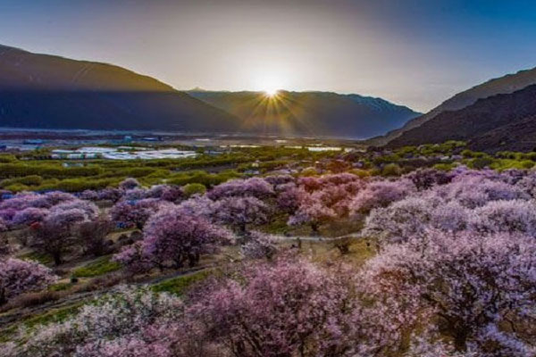 林芝最值得去的景点有哪些？林芝旅游攻略旅游路线安排