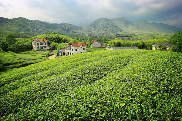 莫干山的最佳旅行时间，莫干山旅游攻略门票多少钱？